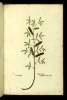  Fol. 325 

A
Acacia nigra
Spina nigra
Lignum sethim Arab: